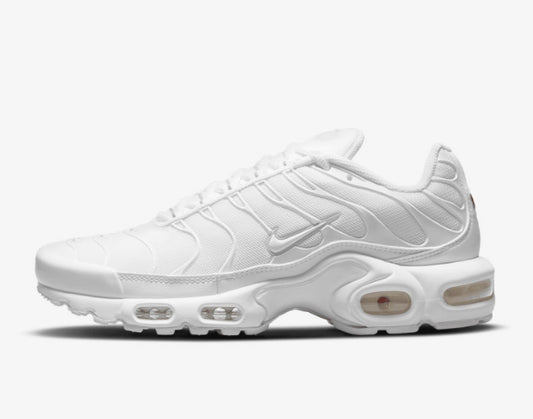 Nike Akir Max TN