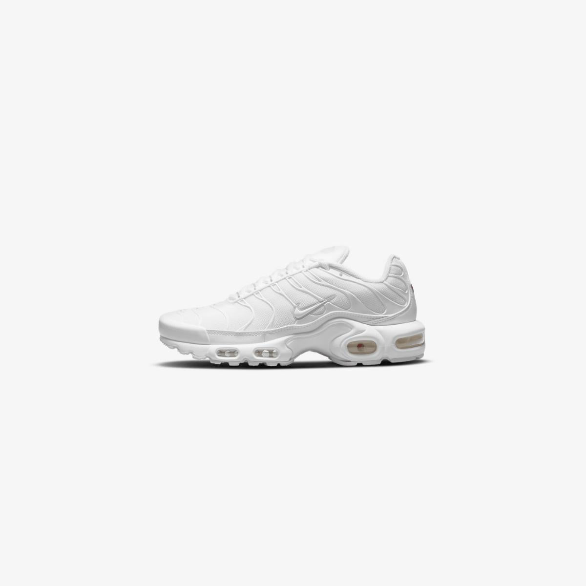 Nike Akir Max TN