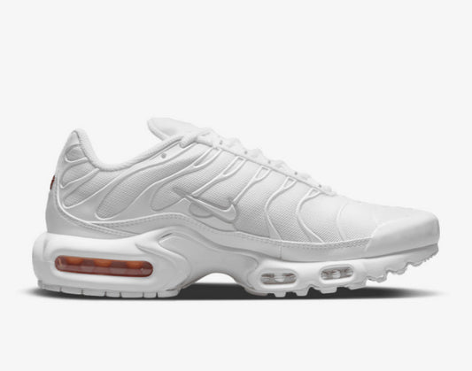 Nike Akir Max TN