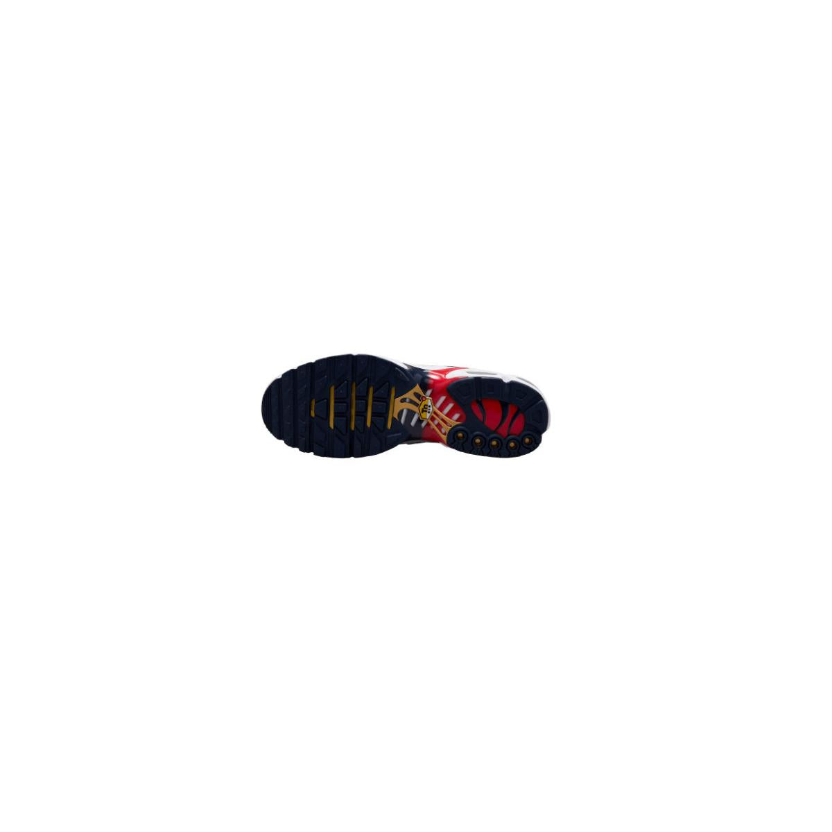 Nike TN (PSG)
