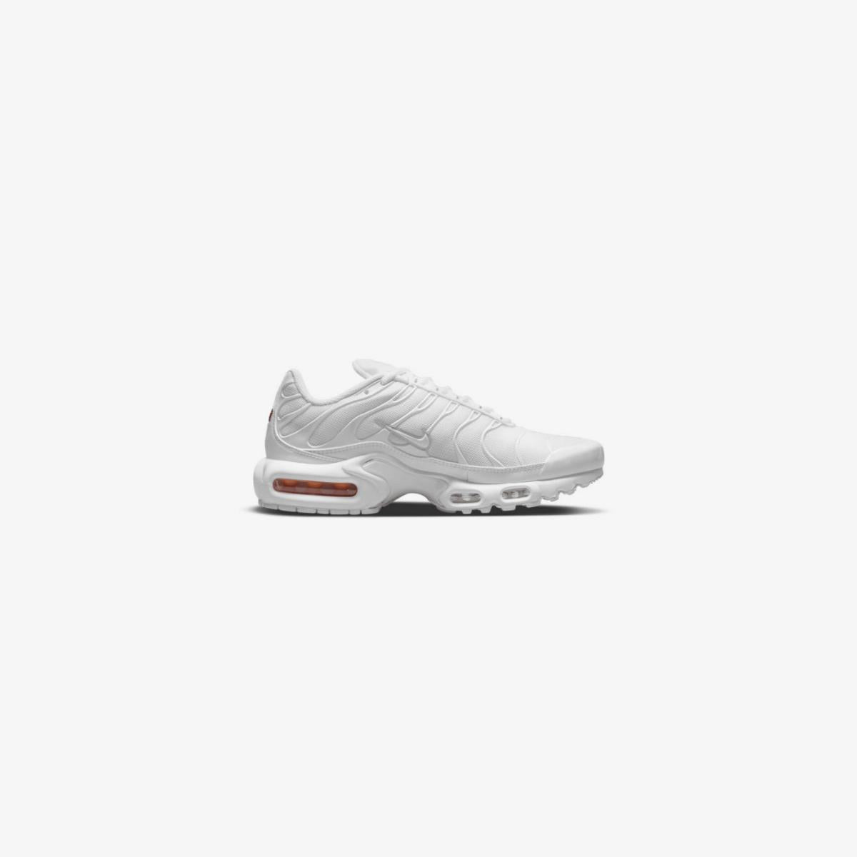 Nike Akir Max TN