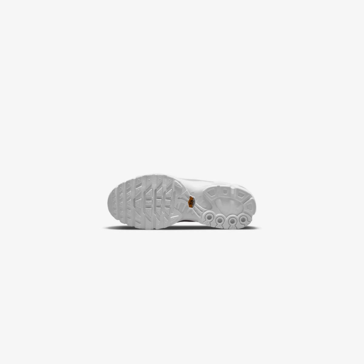 Nike Akir Max TN